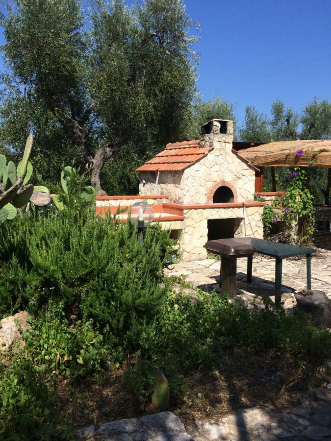Terra Di Ulivo Villa Vieste Eksteriør bilde