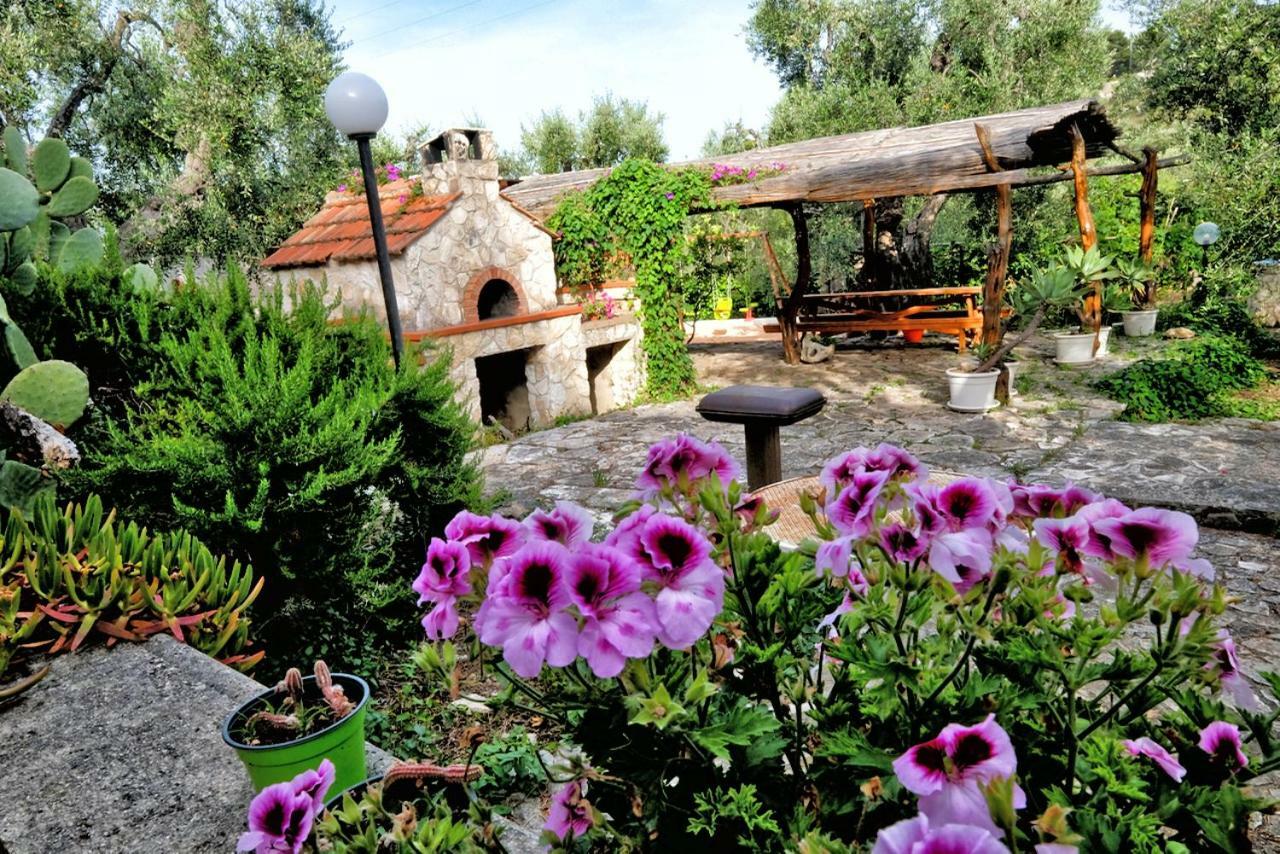 Terra Di Ulivo Villa Vieste Eksteriør bilde