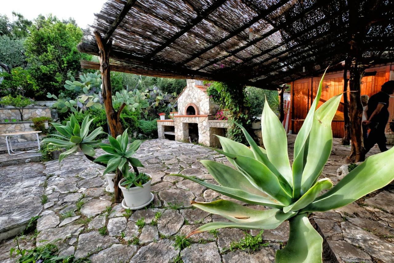 Terra Di Ulivo Villa Vieste Eksteriør bilde
